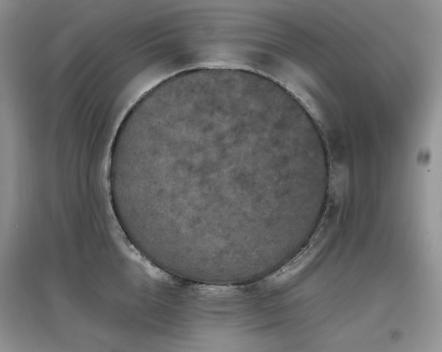 X0000097840856200803141206