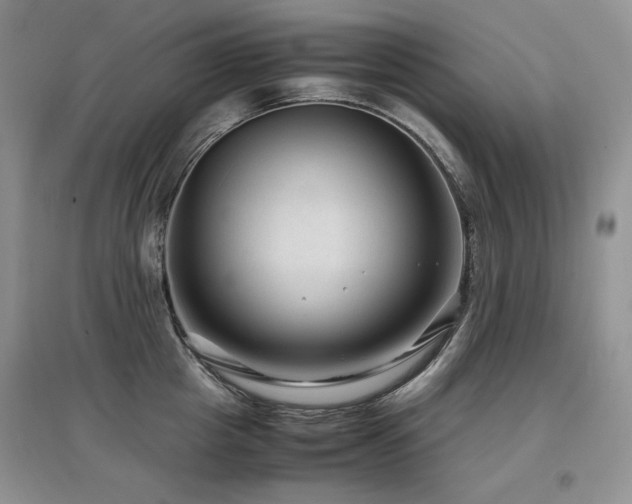 X0000097840857200803141206