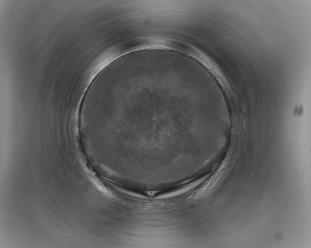 X0000097840858200803141206