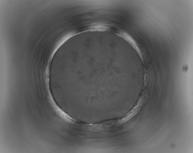 X0000097840859200803141206