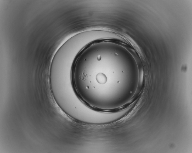 X0000097840860200803141206