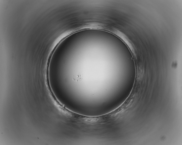X0000097840861200803141206