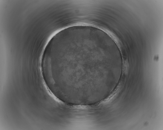 X0000097840862200803141206