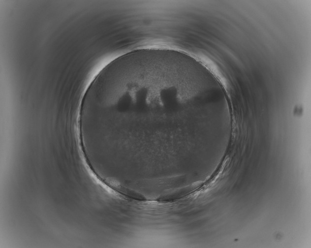 X0000097840863200803141206