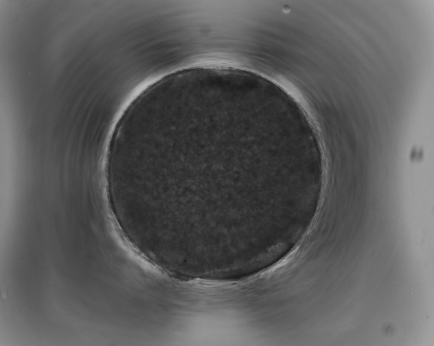 X0000097840864200803141206