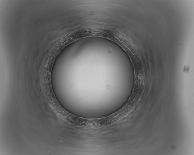 X0000097840865200803141206
