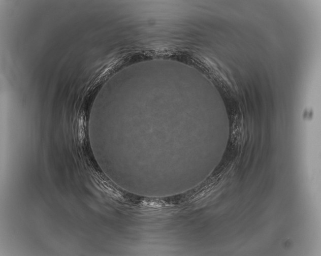 X0000097840866200803141206