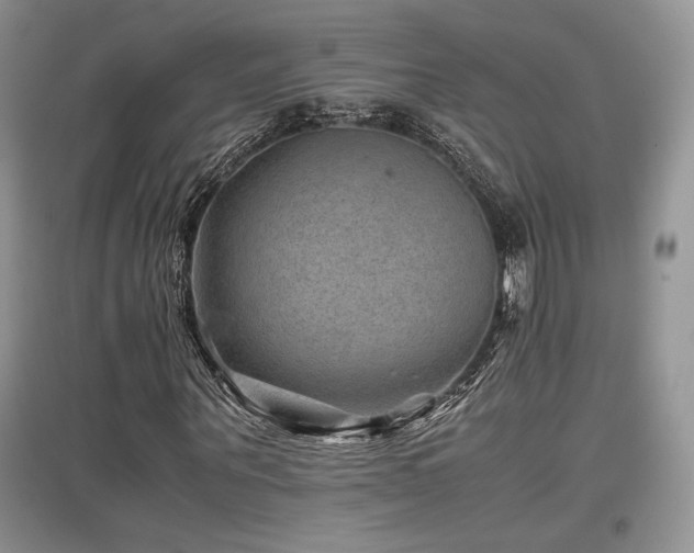 X0000097840867200803141206
