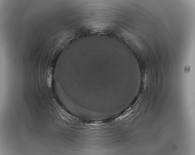 X0000097840868200803141206