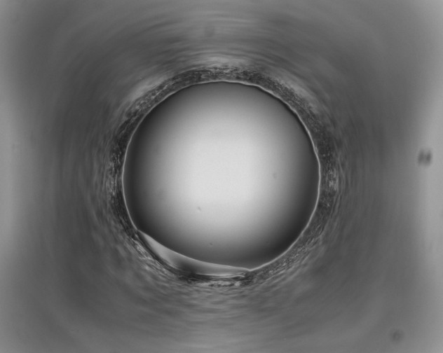 X0000097840869200803141206