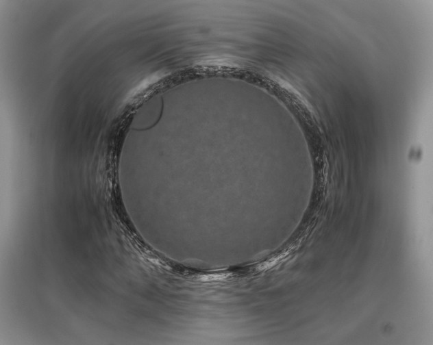 X0000097840870200803141206