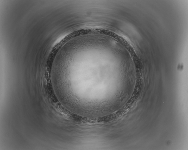 X0000097840871200803141206