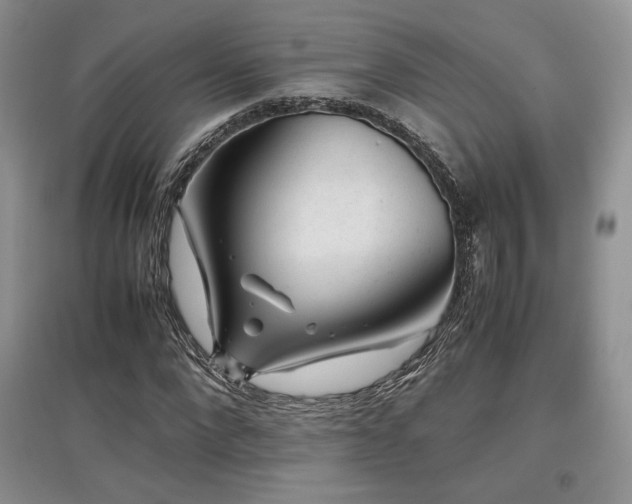 X0000097840872200803141206