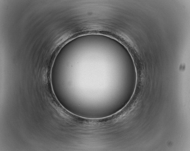 X0000097840873200803141206