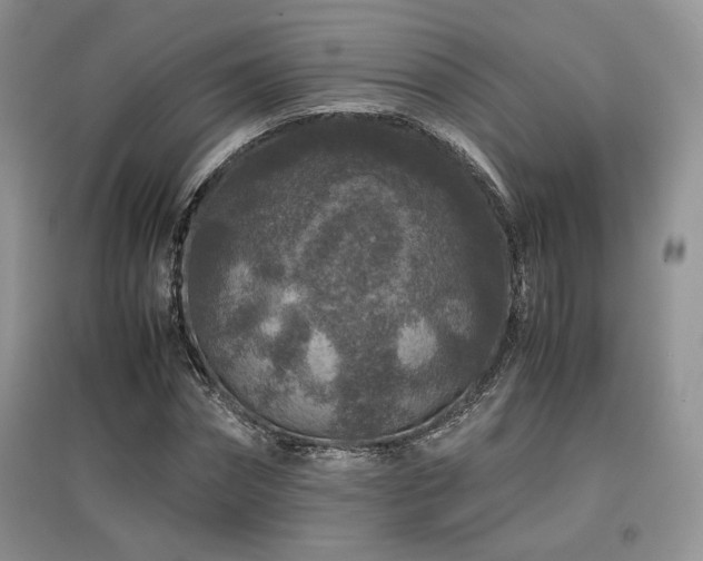 X0000097840874200803141206