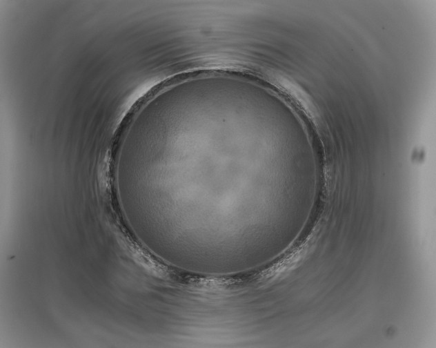X0000097840875200803141206