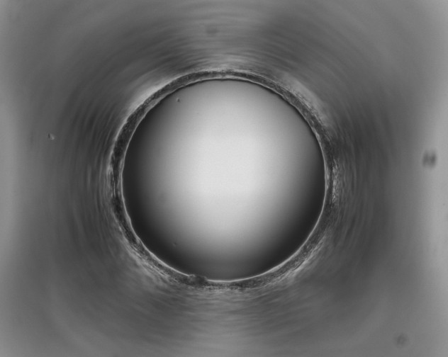 X0000097840876200803141206