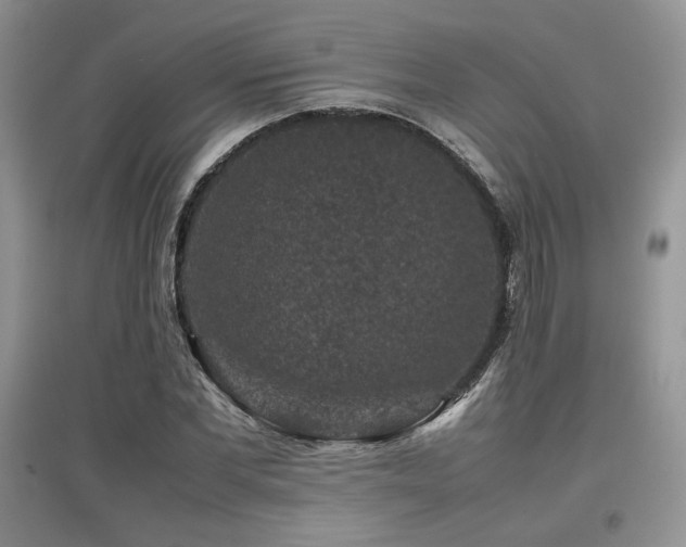 X0000097840877200803141206
