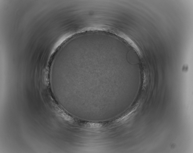 X0000097840878200803141206