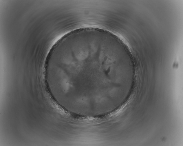 X0000097840879200803141206