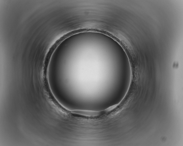 X0000097840880200803141206