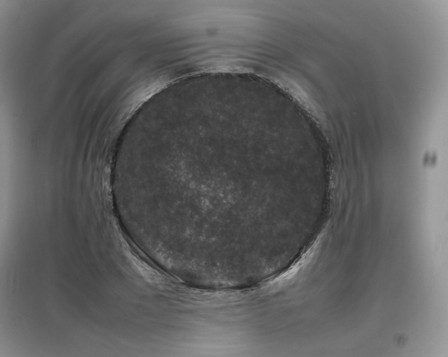 X0000097840881200803141206