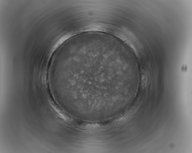 X0000097840882200803141205