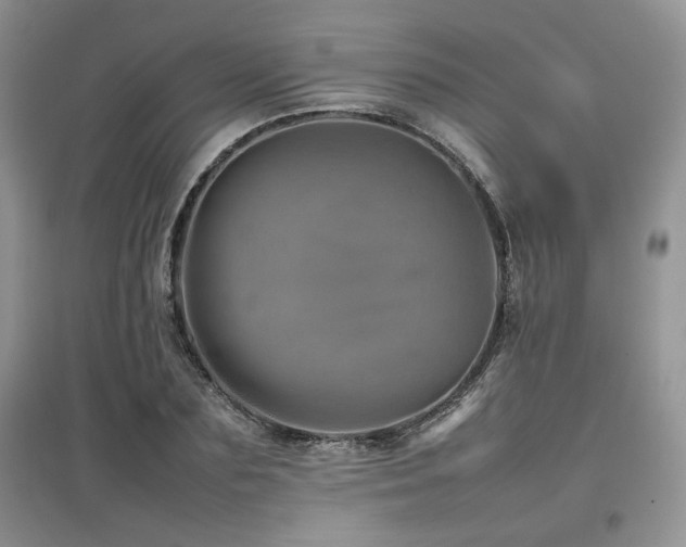 X0000097840883200803141205