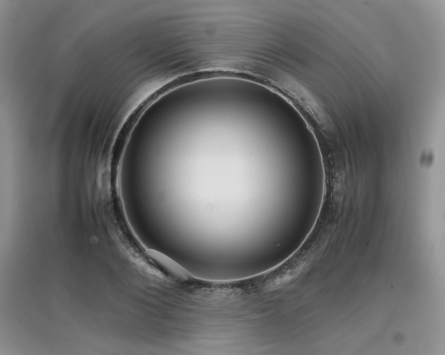 X0000097840884200803141205