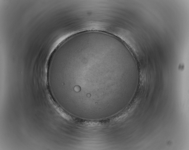 X0000097840886200803141205