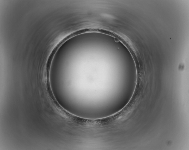 X0000097840887200803141205