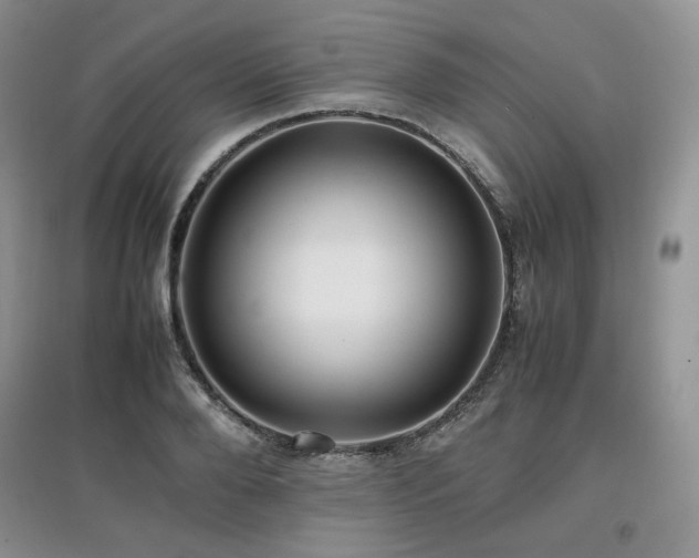 X0000097840888200803141205