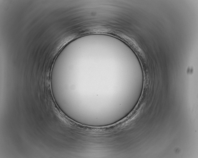 X0000097840889200803141205