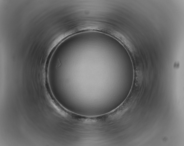 X0000097840890200803141205