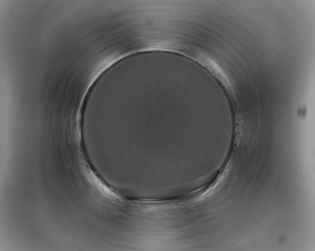 X0000097840892200803141205