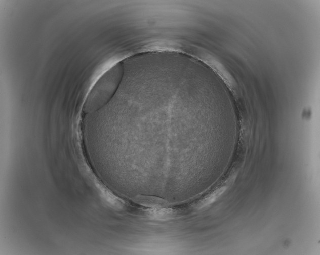 X0000097840893200803141205