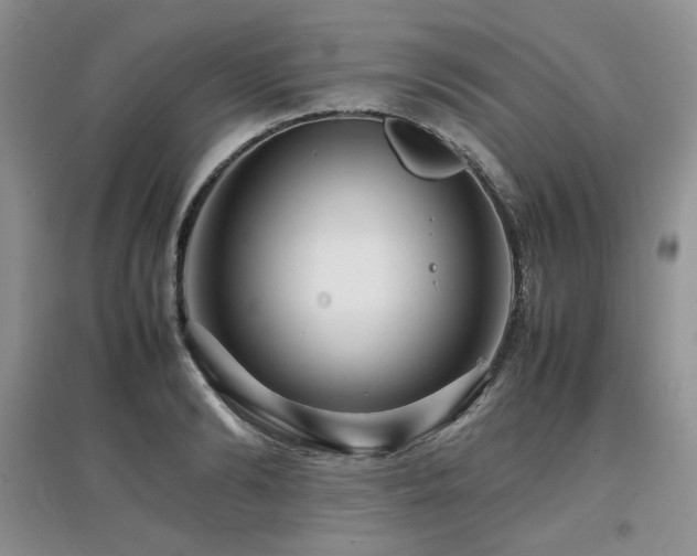 X0000097840894200803141205