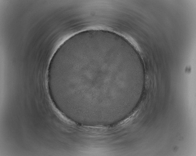X0000097840895200803141205