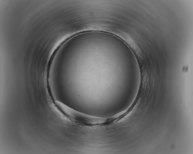 X0000097840896200803141205