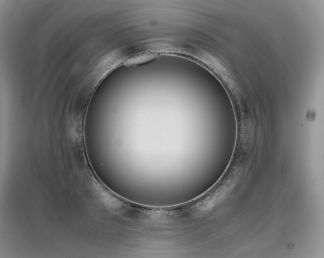 X0000097840897200803141205