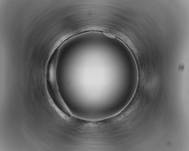 X0000097840898200803141205