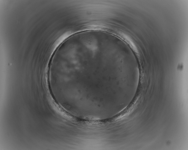 X0000097840899200803141205