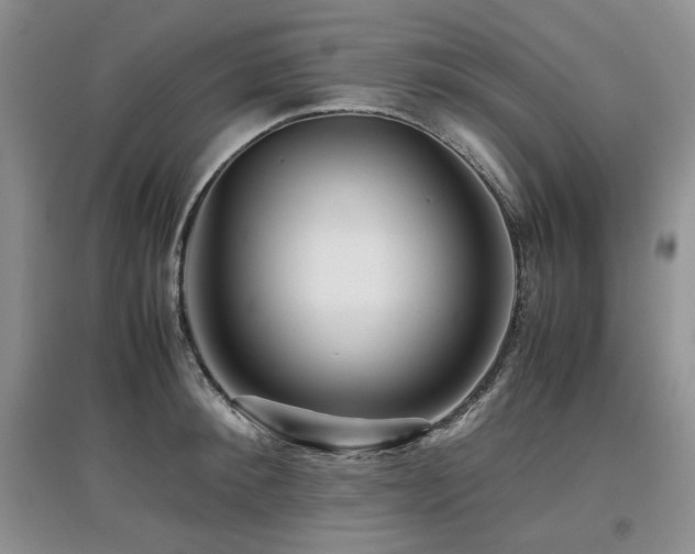 X0000097840900200803141205