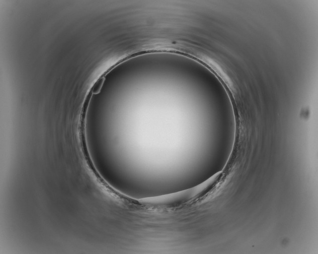 X0000097840901200803141205