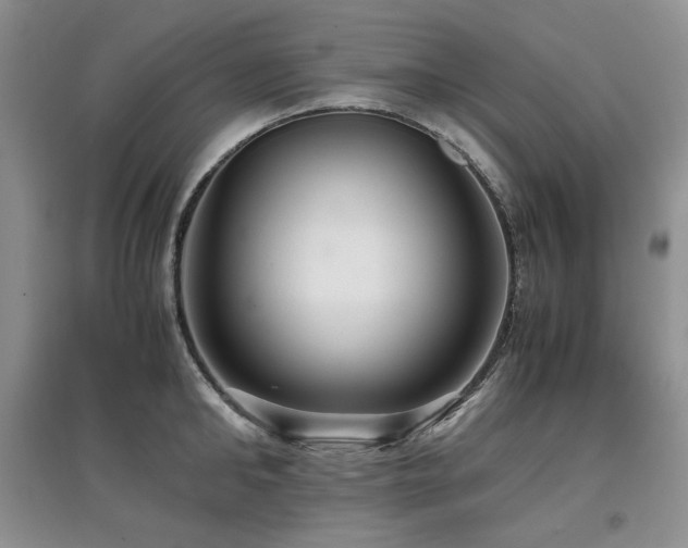 X0000097840902200803141205