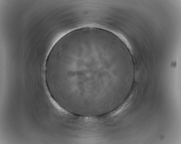 X0000097840903200803141205