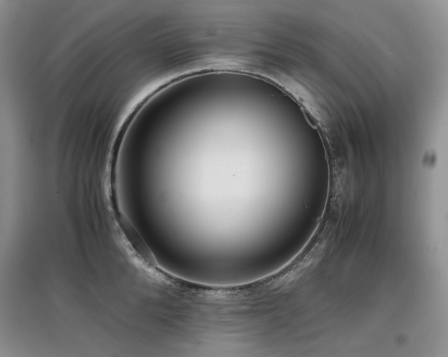 X0000097840904200803141205
