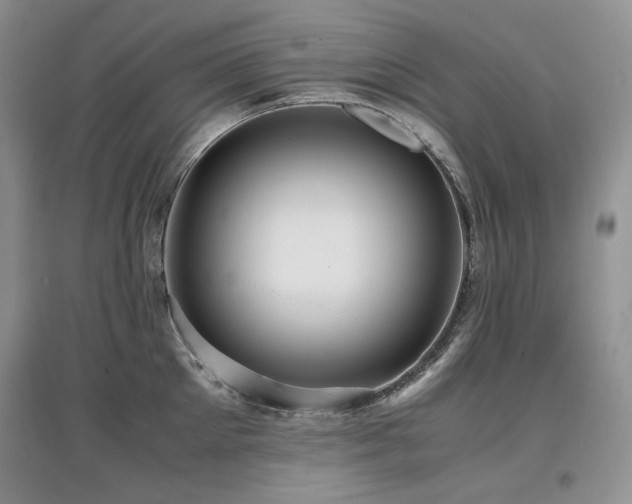 X0000097840905200803141205