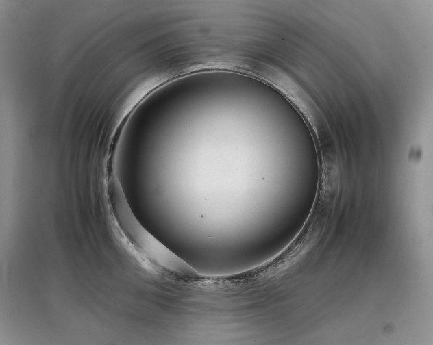 X0000097840906200803141205