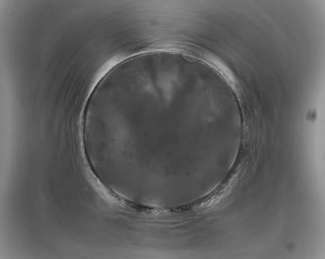 X0000097840907200803141205